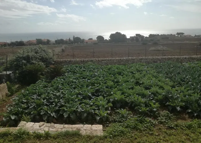 Bove * Marina di Ragusa