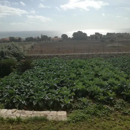 Bove * Marina di Ragusa